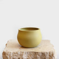 Bowl Shape Vase - Yellow DB Studio