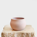 Bowl Shape Vase - Pink DB Studio