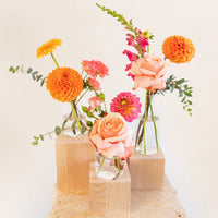 Bright and Cheerful Bud Vase Set of 3 DB Studio