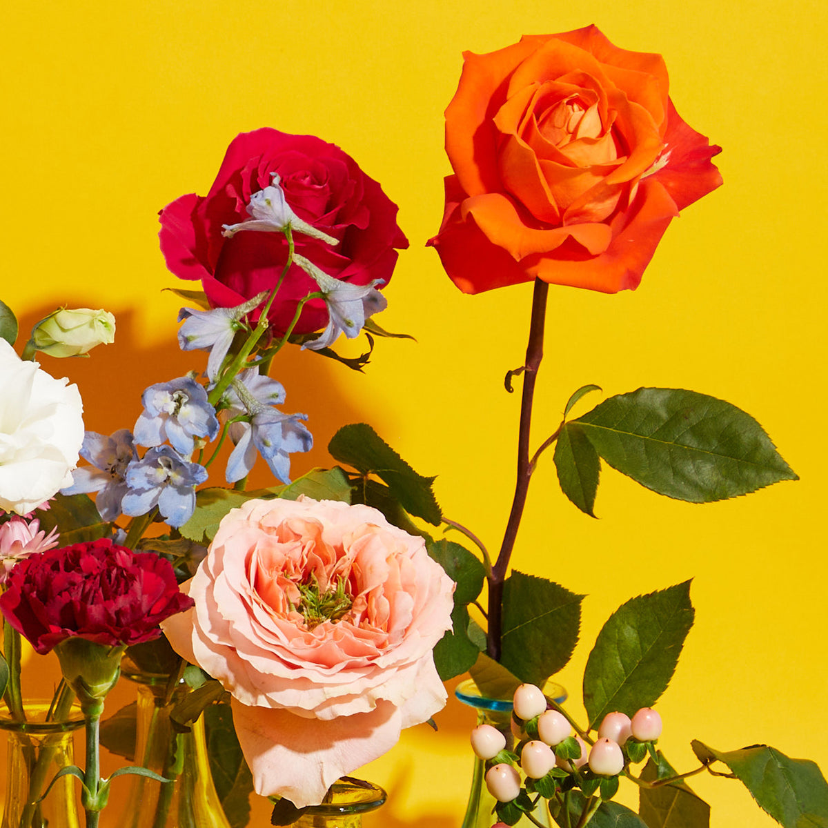 Designer Blooms Choice Vase - Bright and Cheerful DB Studio