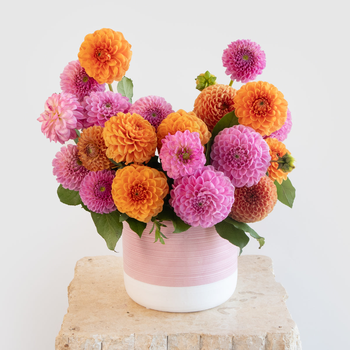 Dahlia Bright and Cheerful Vase Designer Blooms Canada