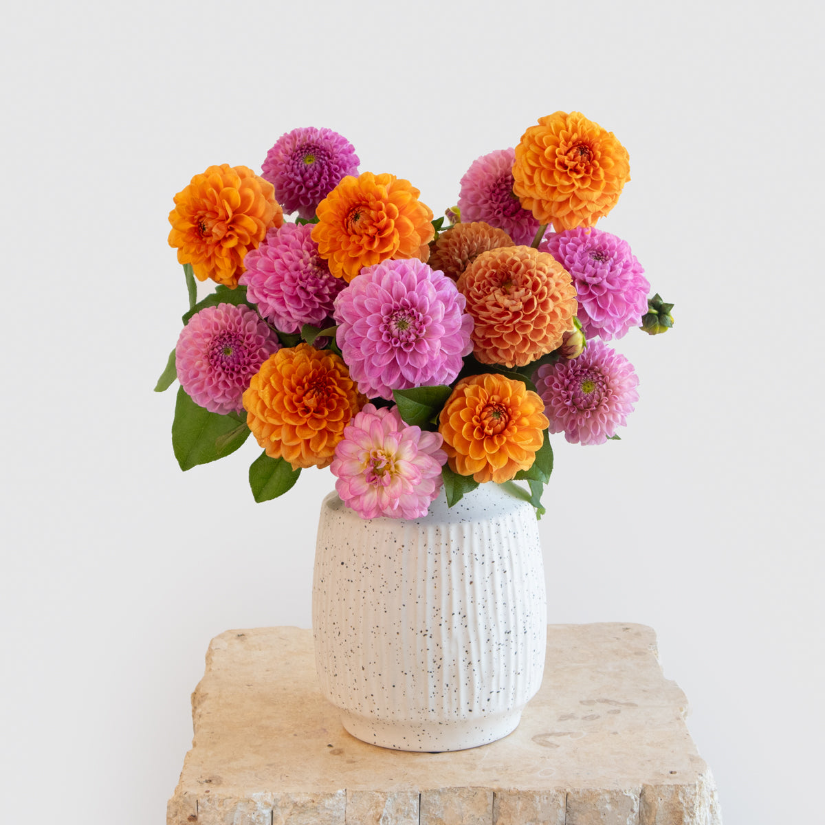 Dahlia Bright and Cheerful Vase Designer Blooms Canada