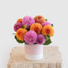 Dahlia Bright and Cheerful Vase Arrangement DB Studio