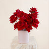 Dozen Red Roses Vase DB Studio