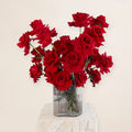 Dozen Red Roses Vase DB Studio