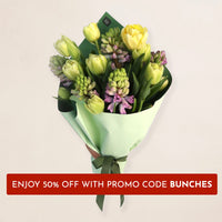 Dutch Bunch DB Studio