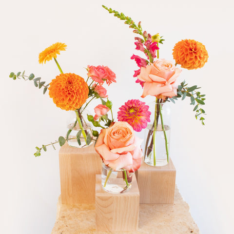 Bright and Cheerful Bud Vase Set DB Studio