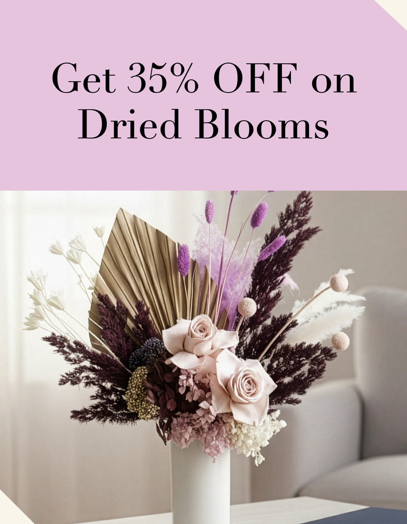 Get 35% OFF on Dried Blooms