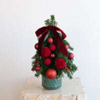 Merlot Mini Tree DB Studio