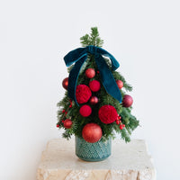 Merlot Mini Tree DB Studio