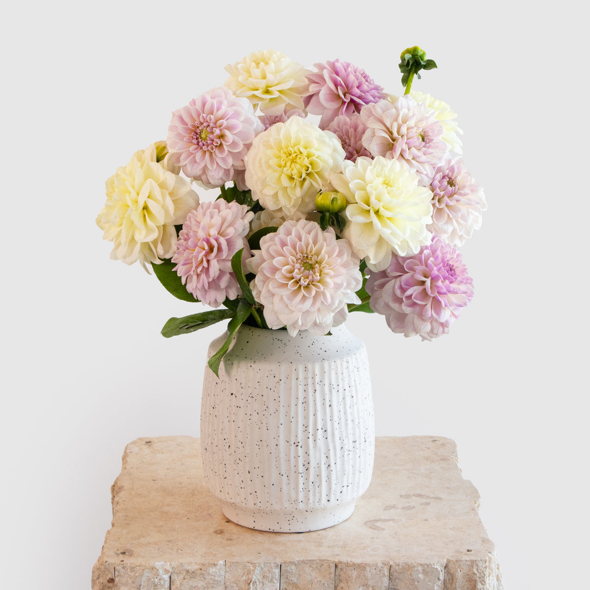 Dahlia Sweet and Loving Vase Designer Blooms Canada