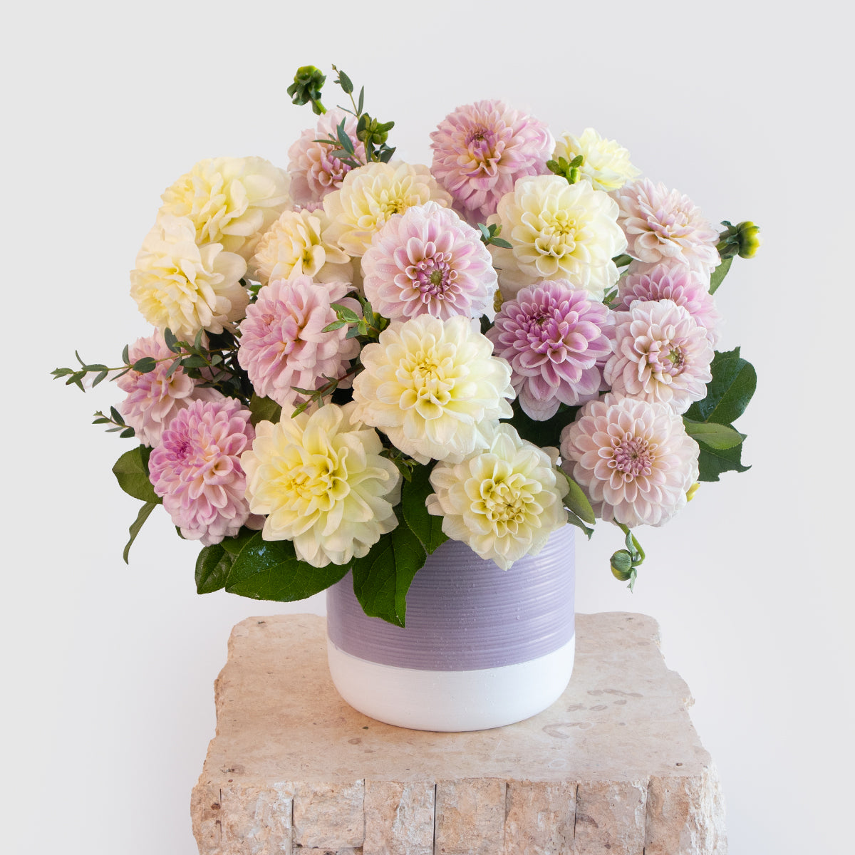 Dahlia Sweet and Loving Vase Designer Blooms Canada