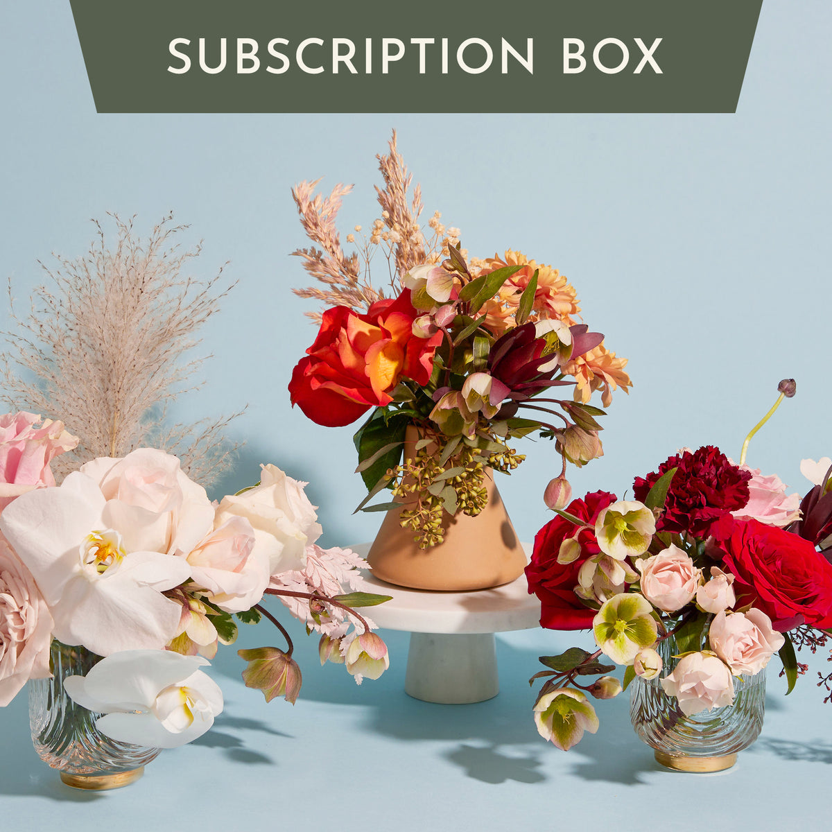 Subscription Box DB Studio