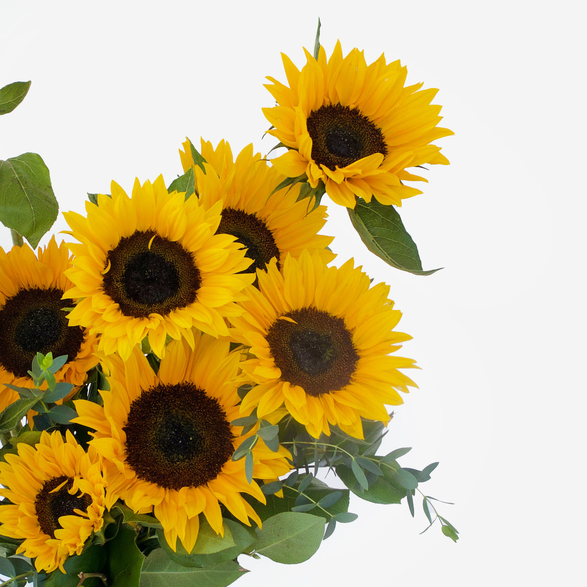 Sunflower Vase DB Studio