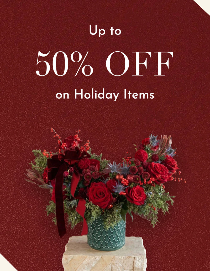 Get up to 50% OFF on Christmas Items
